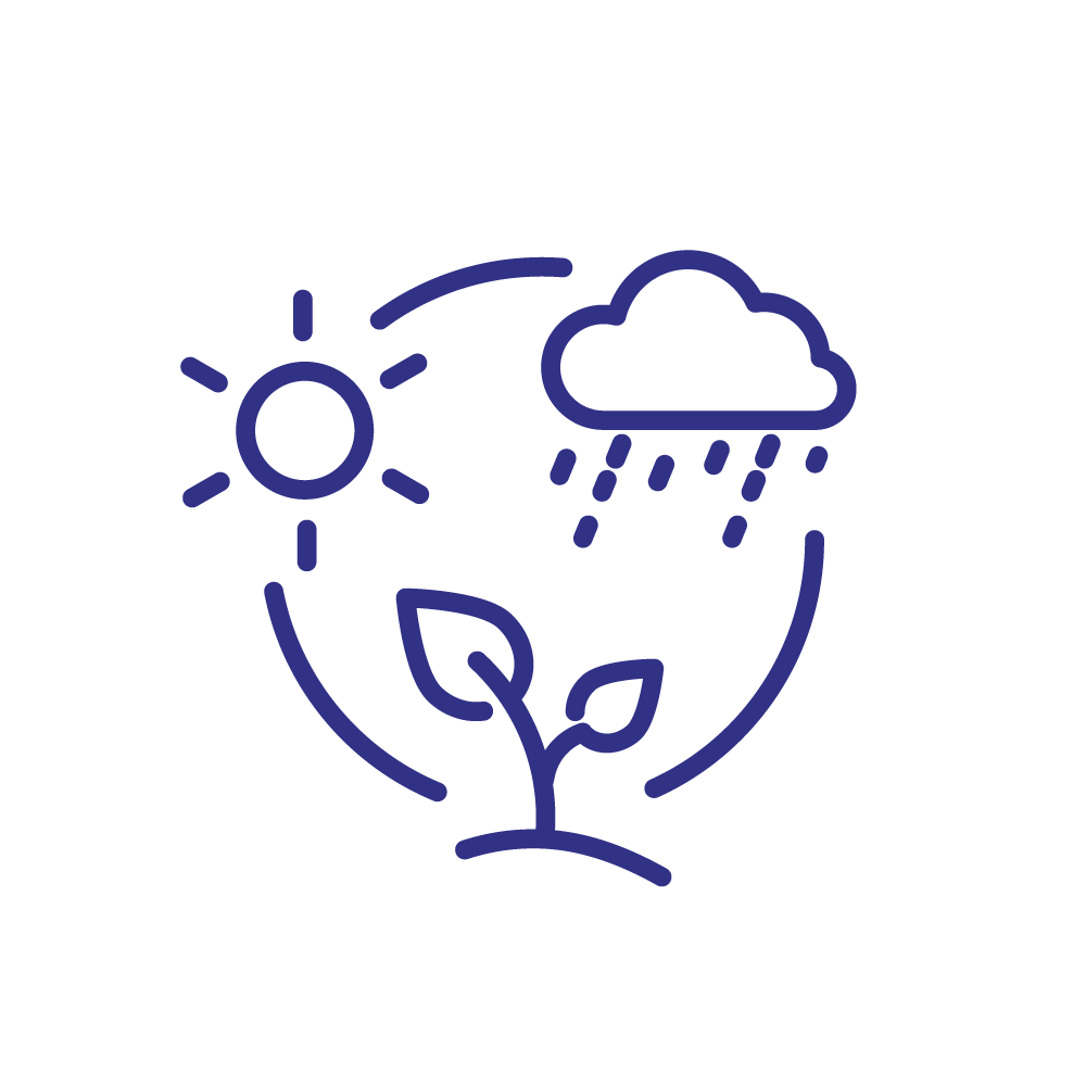 Klimaat