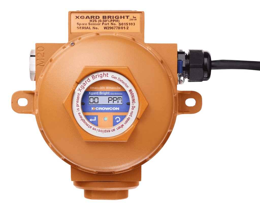 Détecteur de gaz fixed XGardBright