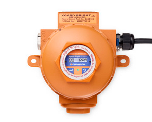 Vaste gasdetector XGardBright